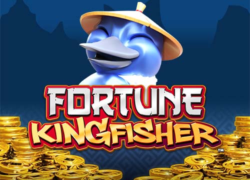 Fortune Kingfisher