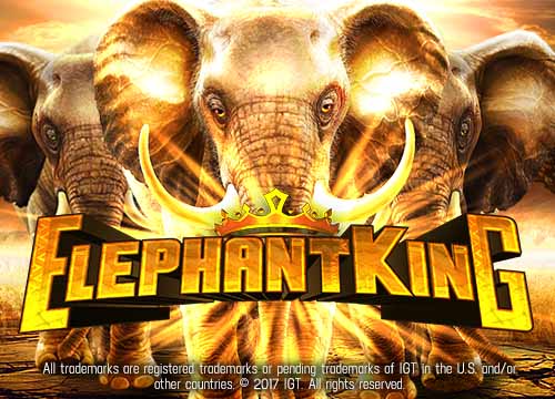 Elephant King
